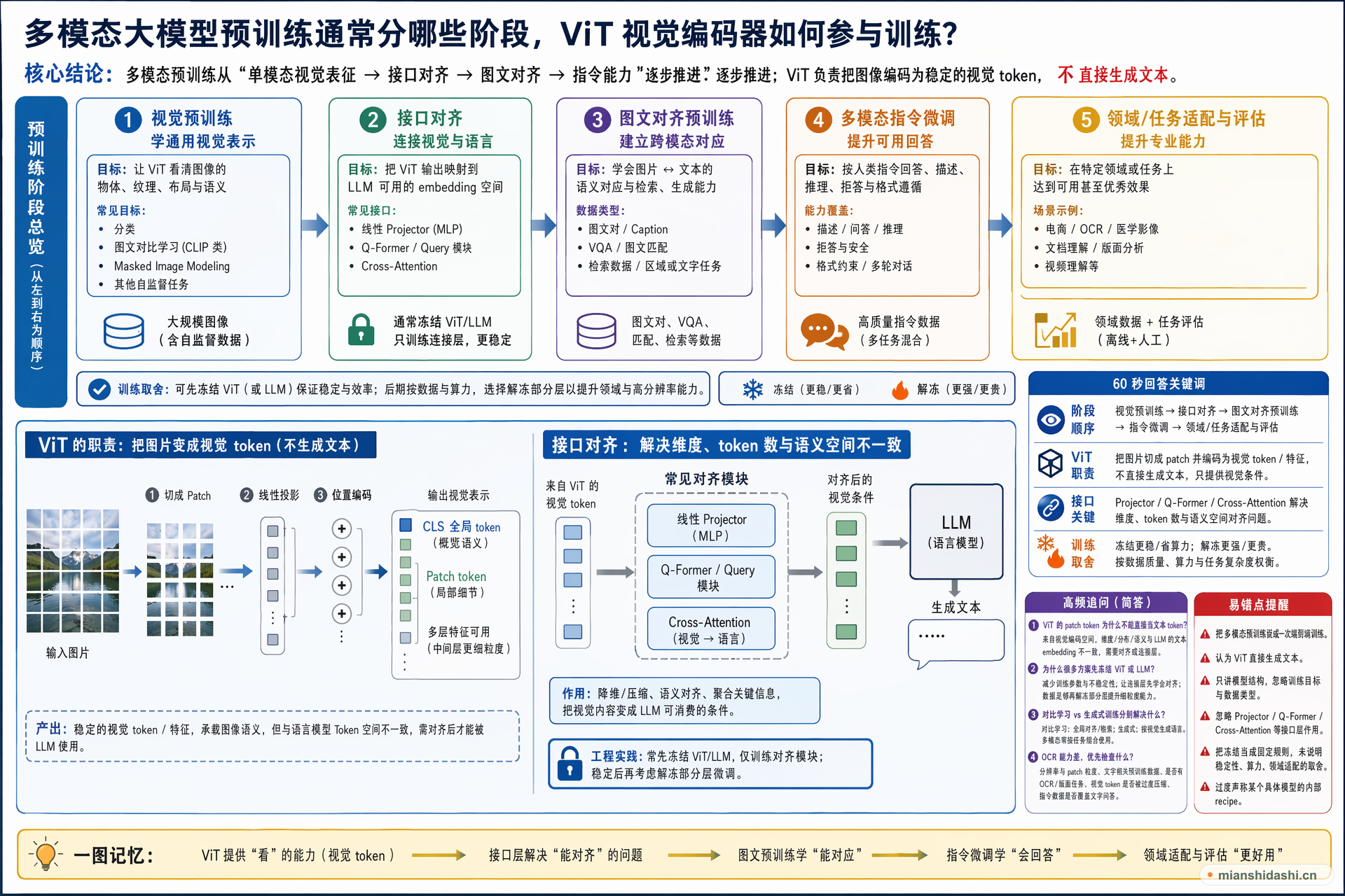 多模态大模型预训练通常分哪些阶段，ViT 视觉编码器如何参与训练？的结构化图解
