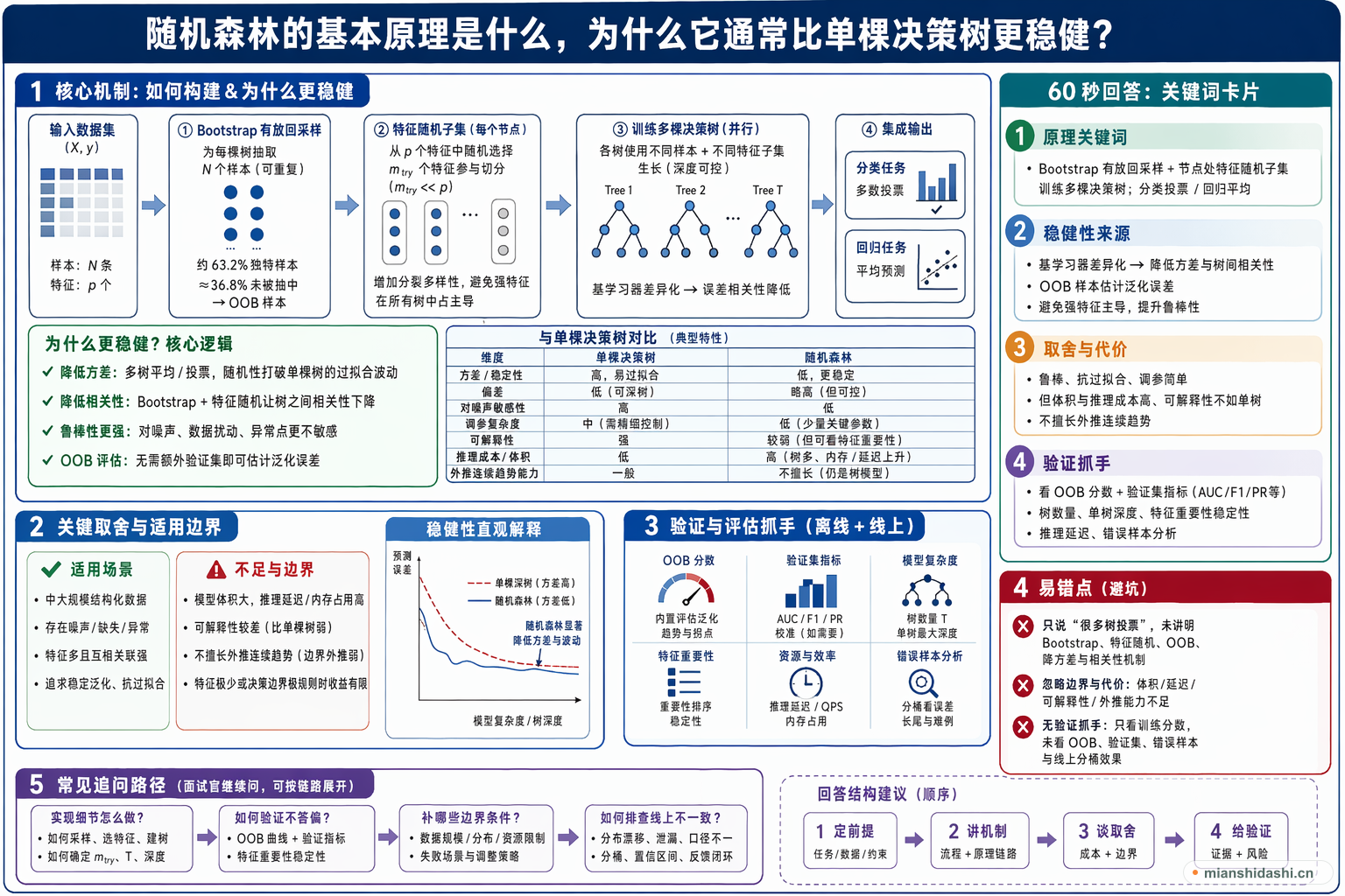 随机森林的基本原理是什么，为什么它通常比单棵决策树更稳健？的结构化图解